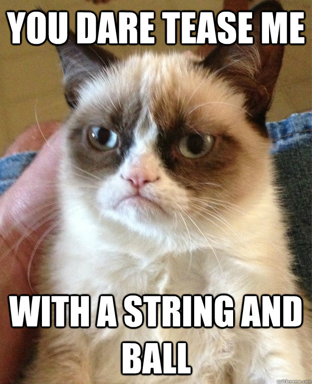 you dare tease me with a string and ball - you dare tease me with a string and ball  Misc