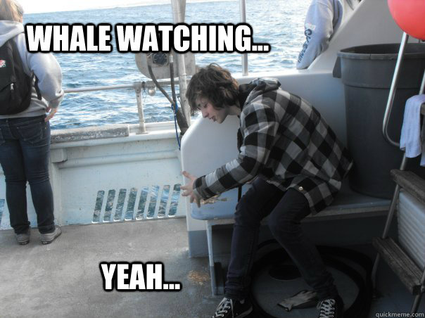 whale watching... yeah... - whale watching... yeah...  Barf Guy