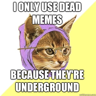 I only use dead memes Because they're underground   Hipster Kitty