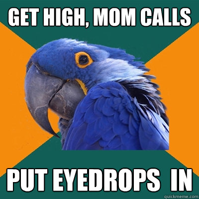 get high, mom calls put eyedrops  in  Paranoid Parrot