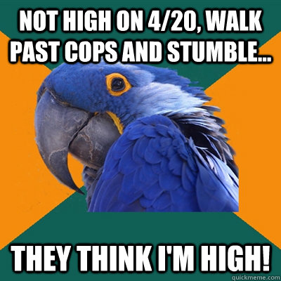 not high on 4/20, walk past cops and stumble... they think i'm high!  Paranoid Parrot