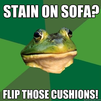 stain on sofa? flip those cushions!  Foul Bachelor Frog