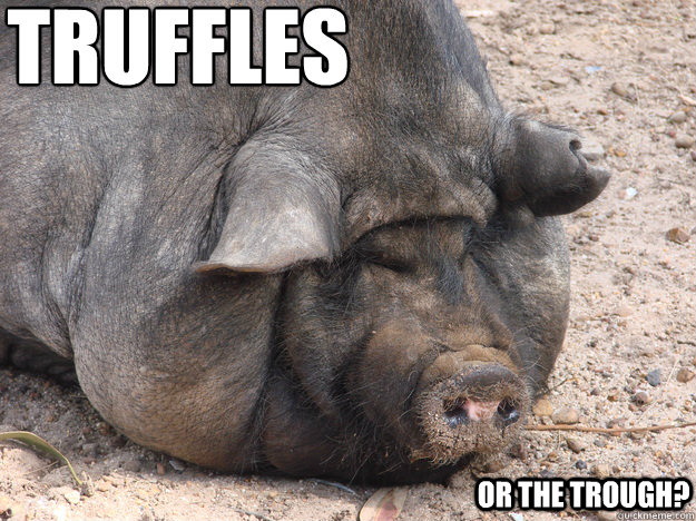 truffles Or the trough?  Fat Pig