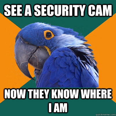 See a security cam now they know where i am  Paranoid Parrot