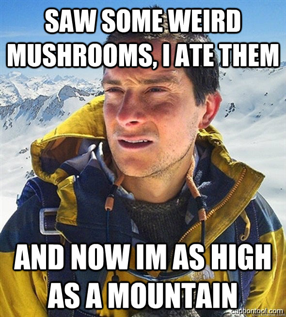 saw some weird mushrooms, i ate them and now im as high as a mountain - saw some weird mushrooms, i ate them and now im as high as a mountain  beargrylls