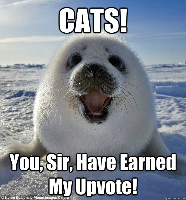 CATS! You, Sir, Have Earned My Upvote!  Easily Pleased Seal