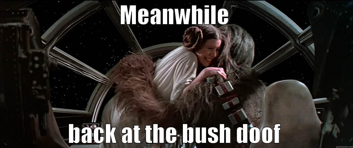 MEANWHILE BACK AT THE BUSH DOOF Misc