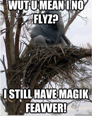 Wut u mean i no flyz? I still have magik feavver! - Wut u mean i no flyz? I still have magik feavver!  Flying Elephant
