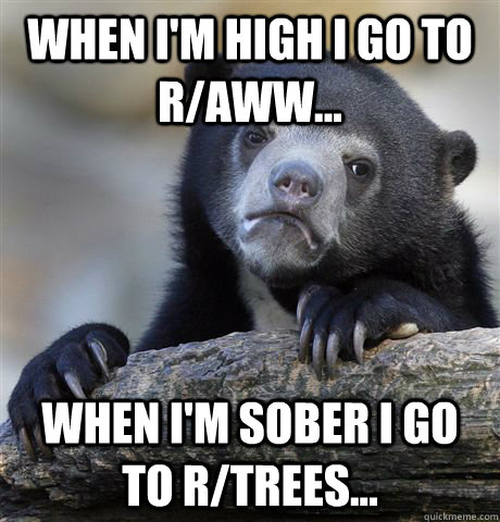 When I'm high i go to R/AWW... When I'm sober I go to R/Trees...  Confession Bear