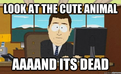 Look at the cute animal AaaAnd its dead - Look at the cute animal AaaAnd its dead  Aand its gone