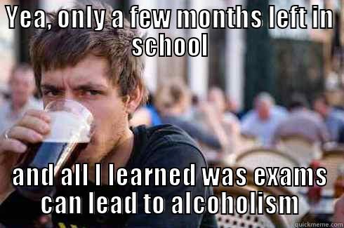 YEA, ONLY A FEW MONTHS LEFT IN SCHOOL AND ALL I LEARNED WAS EXAMS CAN LEAD TO ALCOHOLISM Lazy College Senior