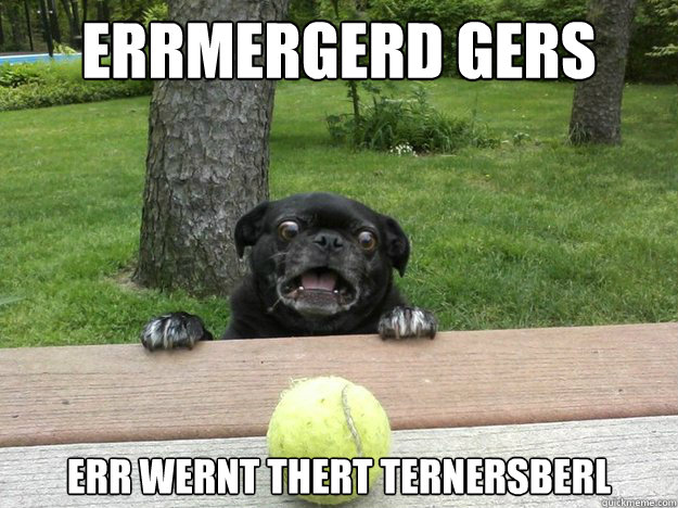 errmergerd gers err wernt thert ternersberl  Berks Dog