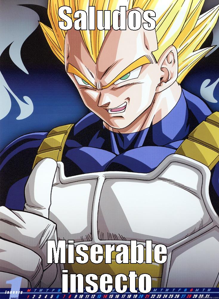vegeta greeting - SALUDOS MISERABLE INSECTO Misc