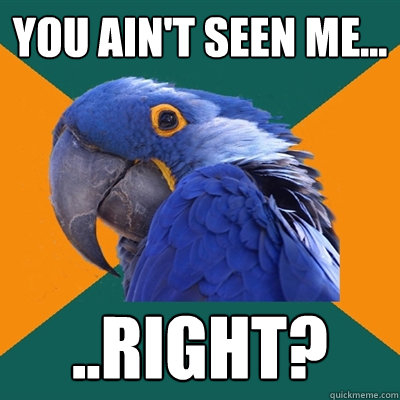 You ain't seen me... ..Right?  Paranoid Parrot