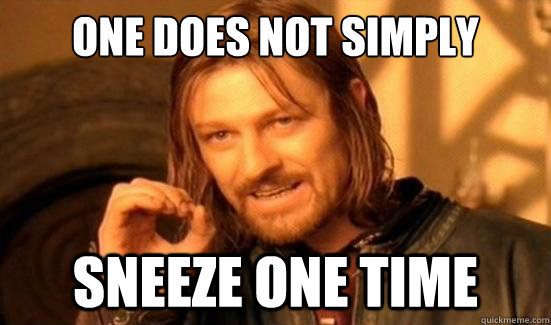One Does Not Simply sneeze one time  Boromir
