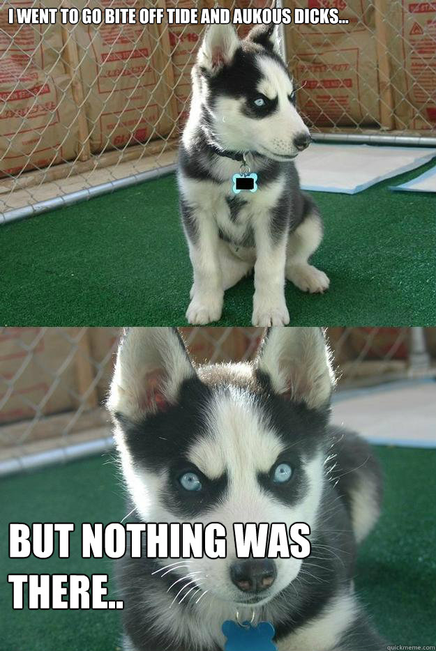 I went to go bite off Tide and Aukous Dicks... But nothing was there..  Insanity puppy