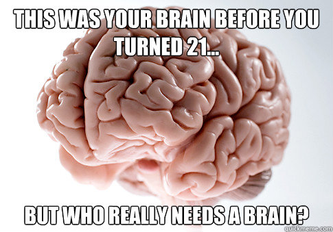 this was your brain before you turned 21... but who really needs a brain?   Scumbag Brain