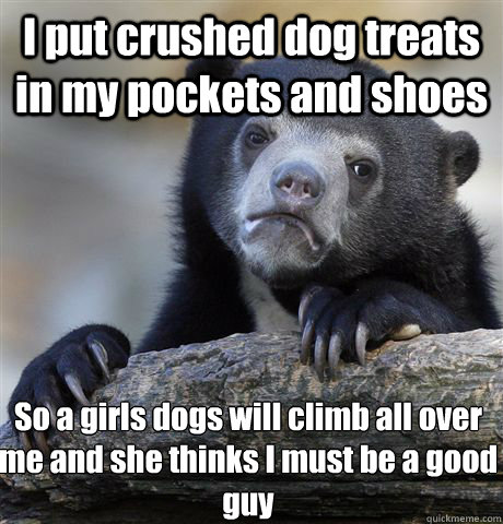 I put crushed dog treats in my pockets and shoes  So a girls dogs will climb all over me and she thinks I must be a good guy - I put crushed dog treats in my pockets and shoes  So a girls dogs will climb all over me and she thinks I must be a good guy  Confession Bear