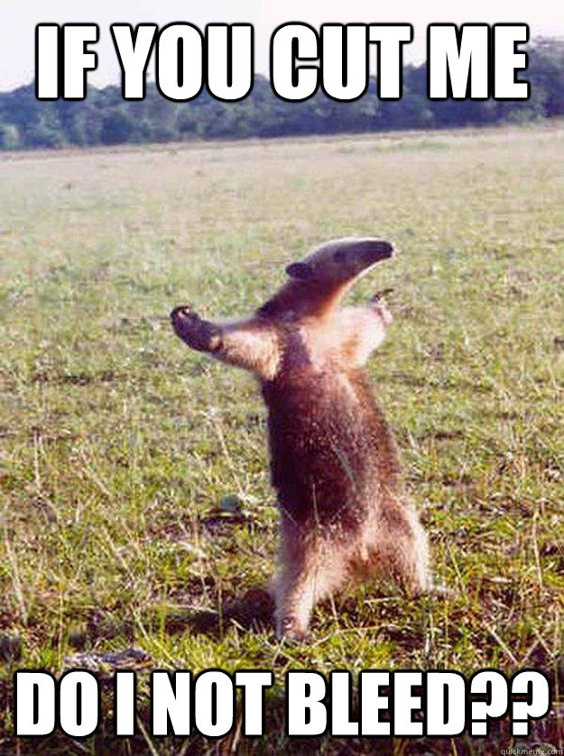 If you cut me Do I not bleed?? - If you cut me Do I not bleed??  anteater bro