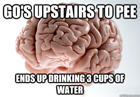 GO'S UPSTAIRS TO PEE ENDS UP DRINKING 3 CUPS OF WATER - GO'S UPSTAIRS TO PEE ENDS UP DRINKING 3 CUPS OF WATER  Scumbag Brain