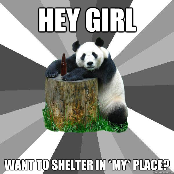 HEY GIRL WANT TO SHELTER IN *MY* PLACE?  Pickup-Line Panda