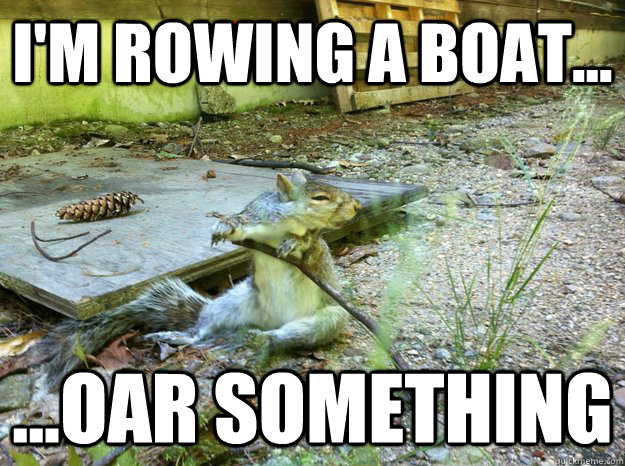 I'm rowing a boat... ...Oar something - I'm rowing a boat... ...Oar something  Confused Squirrel