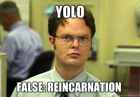 YOLO False: Reincarnation  Dwight