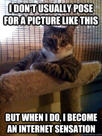 I don't usually POSE FOR A PICTURE LIKE THIS but when I do, I BECOME AN INTERNET SENSATION  The Most Interesting Cat in the World