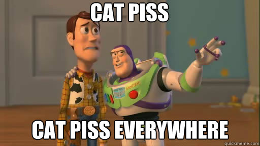 cat piss cat piss everywhere  Everywhere