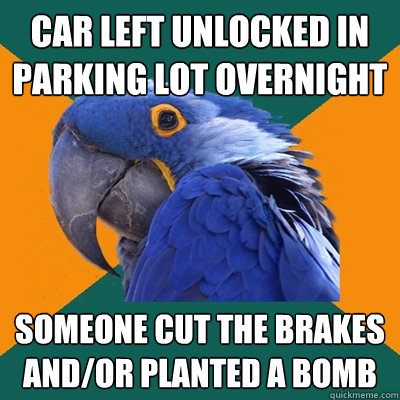 car left unlocked in parking lot overnight someone cut the brakes and/or planted a bomb  Paranoid Parrot