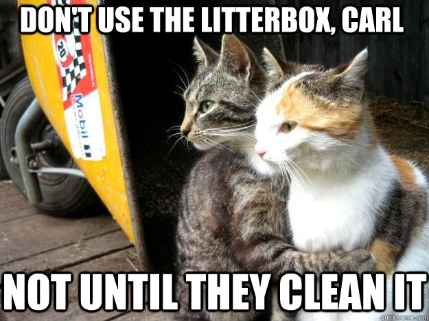 Don't use the litterbox, carl Not until they clean it  Restraining Cat