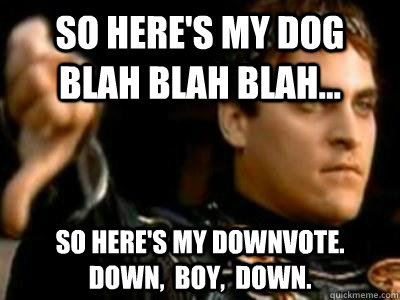 So here's my dog blah blah blah... So here's my downvote.    Down,  boy,  down.  Downvoting Roman