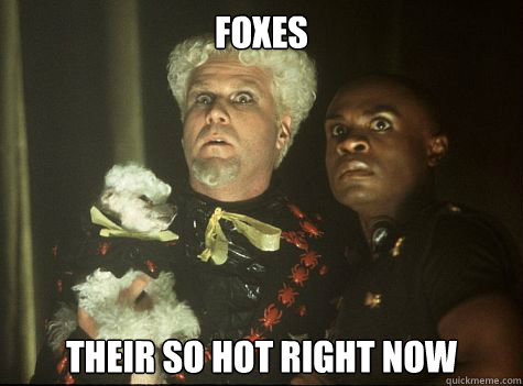 Foxes Their So hot right now  Hes So Hot Right Now