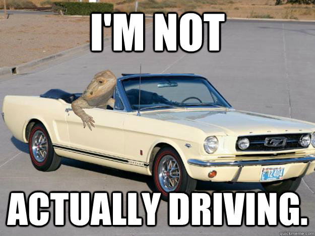 I'm not actually driving.  Pickup Dragon