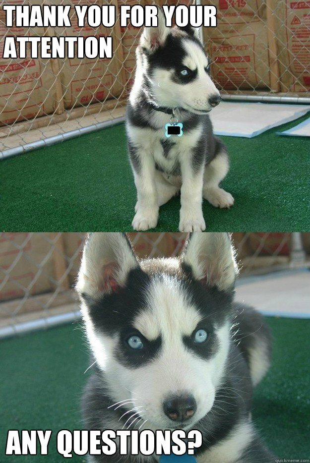 Thank you for your
attention any questions?   Insanity puppy