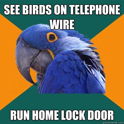 see birds on telephone wire 
run home lock door  Paranoid Parrot