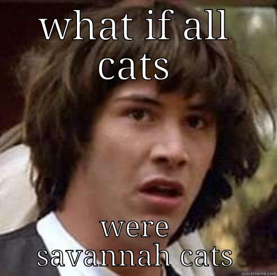 WHAT IF ALL CATS WERE SAVANNAH CATS conspiracy keanu