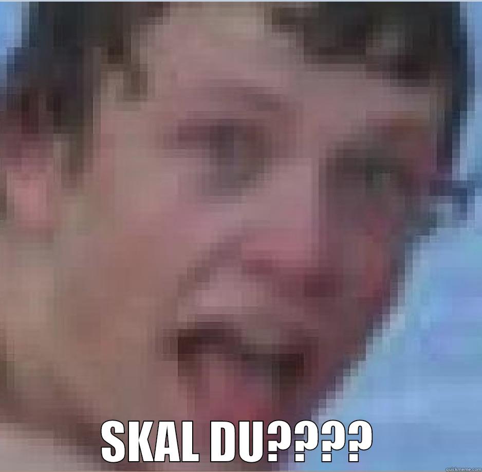  SKAL DU???? Misc