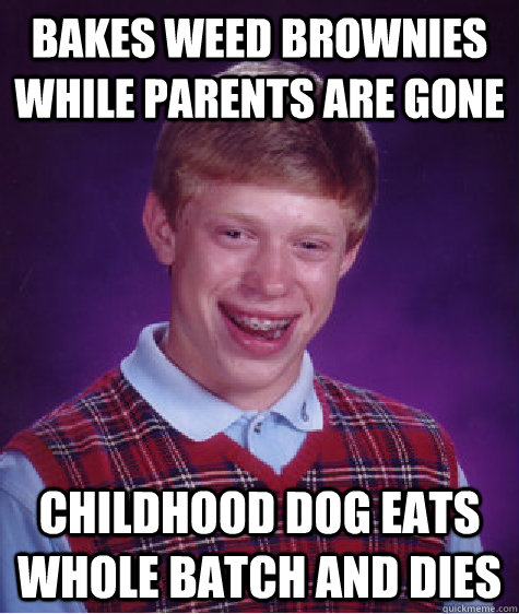 Bakes weed brownies while parents are gone childhood dog eats whole batch and dies  Bad Luck Brian