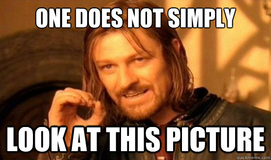 One Does Not Simply look at this picture  Boromir