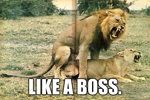  LIKE A BOSS. -  LIKE A BOSS.  Misc