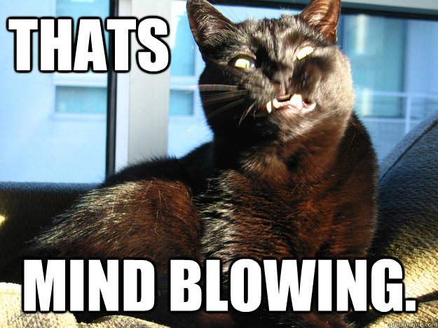 THATS MIND BLOWING.  Mind Blown Cat