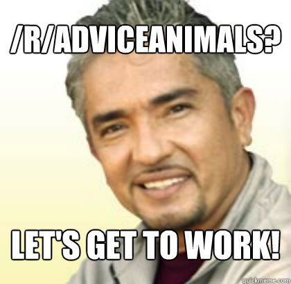 /r/adviceanimals? Let's get to work!  