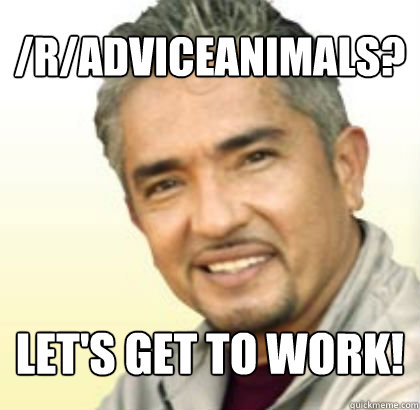 /r/adviceanimals? Let's get to work! - /r/adviceanimals? Let's get to work!  Cesar Millan