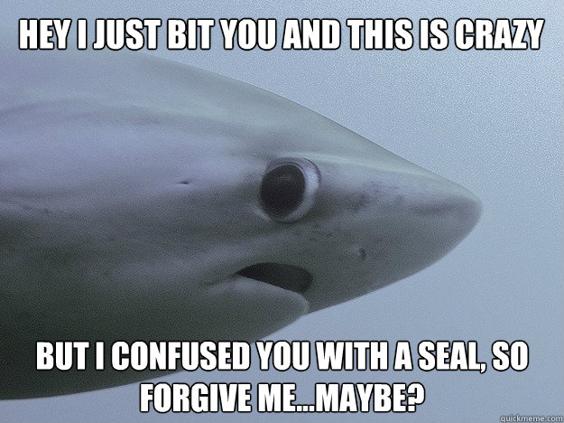 Hey I just bit you and this is crazy but I confused you with a seal, so forgive me...maybe? - Hey I just bit you and this is crazy but I confused you with a seal, so forgive me...maybe?  Shy Shark