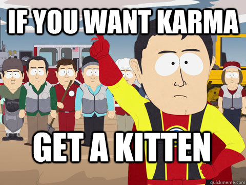 If you want karma Get a kitten Caption 3 goes here  Captain Hindsight