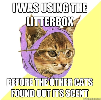 I was using the litterbox before the other cats found out its scent  Hipster Kitty