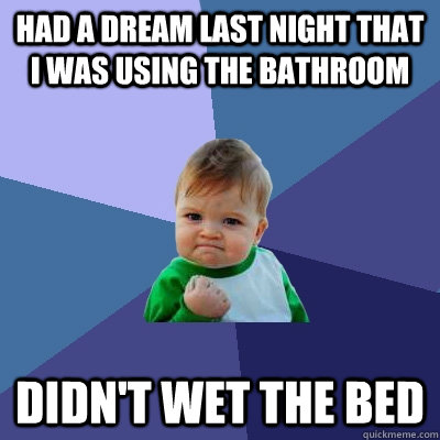 Had a dream last night that I was using the bathroom Didn't wet the bed  Success Kid