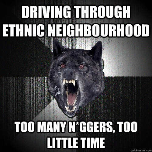 driving through ethnic neighbourhood too many n*ggers, too little time  Insanity Wolf