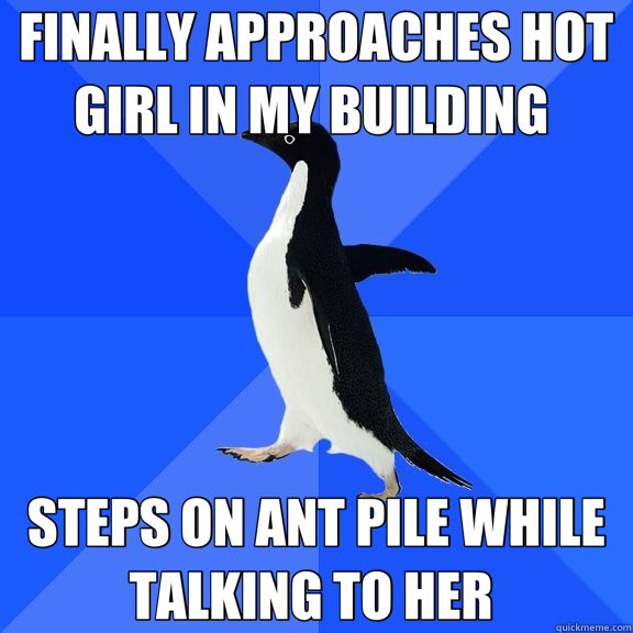 FINALLY APPROACHES HOT GIRL IN MY BUILDING  STEPS ON ANT PILE WHILE TALKING TO HER   Socially Awkward Penguin